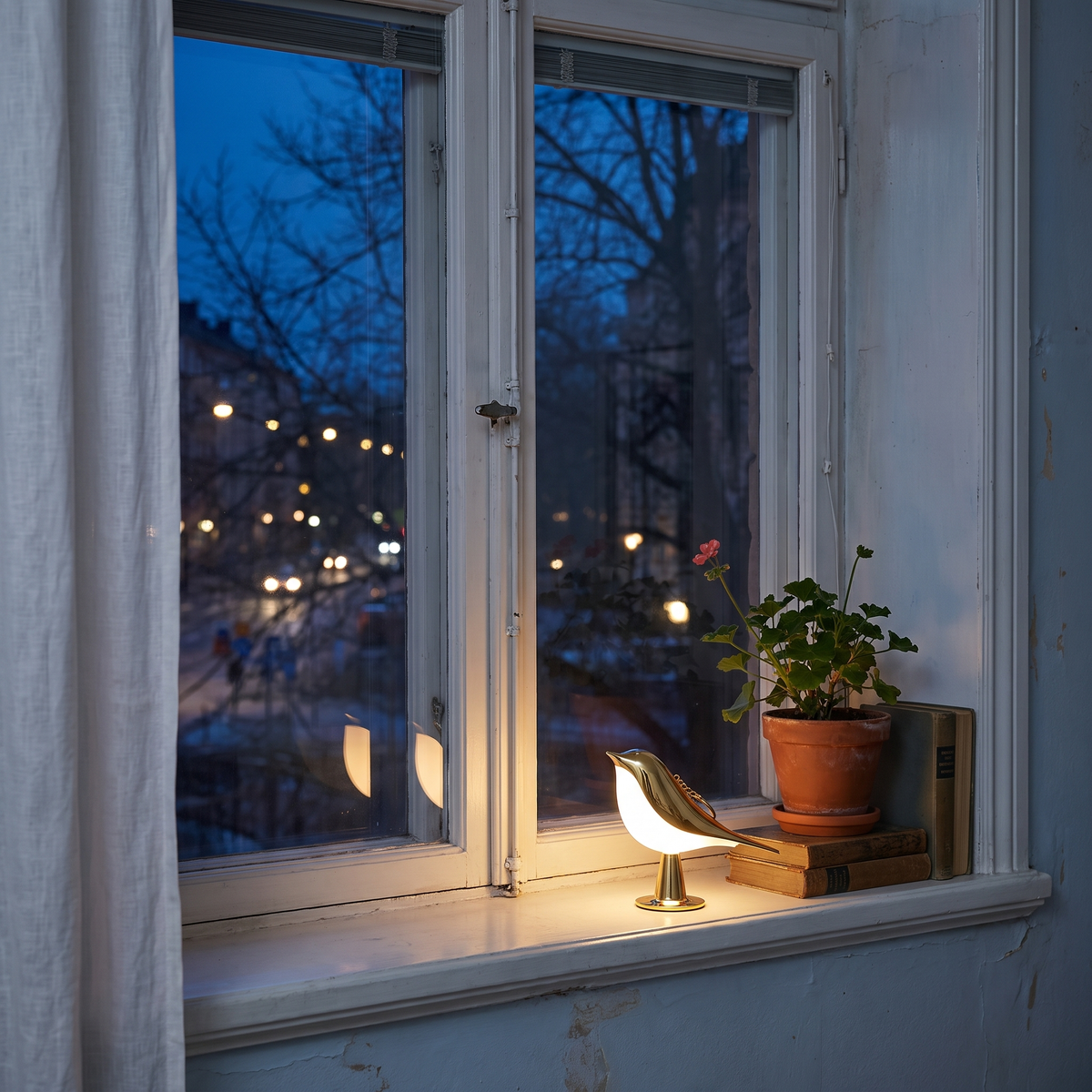 Cora in gold glowing on the windowsill on a November evening, dark outside