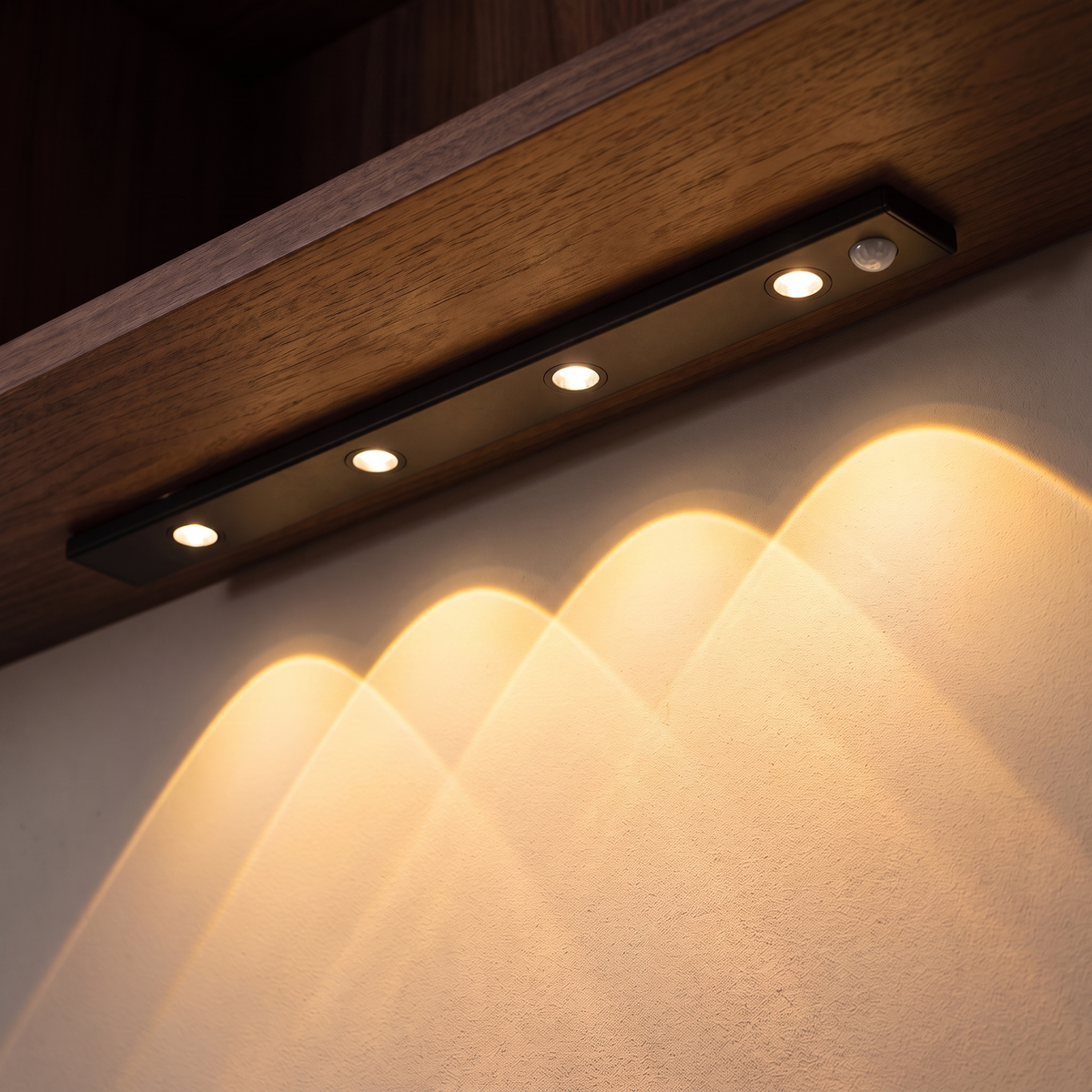 Close-up of Lyra in black under a shelf, the arcs of light clearly visible on the wall